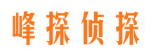 双流市调查公司